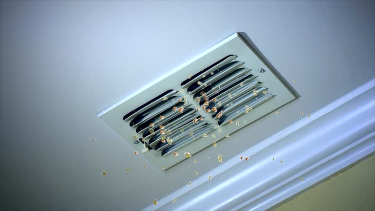 Best Affordable Duct Cleaning Services  in Lower Lake, CA